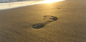 SST next.step Footprint